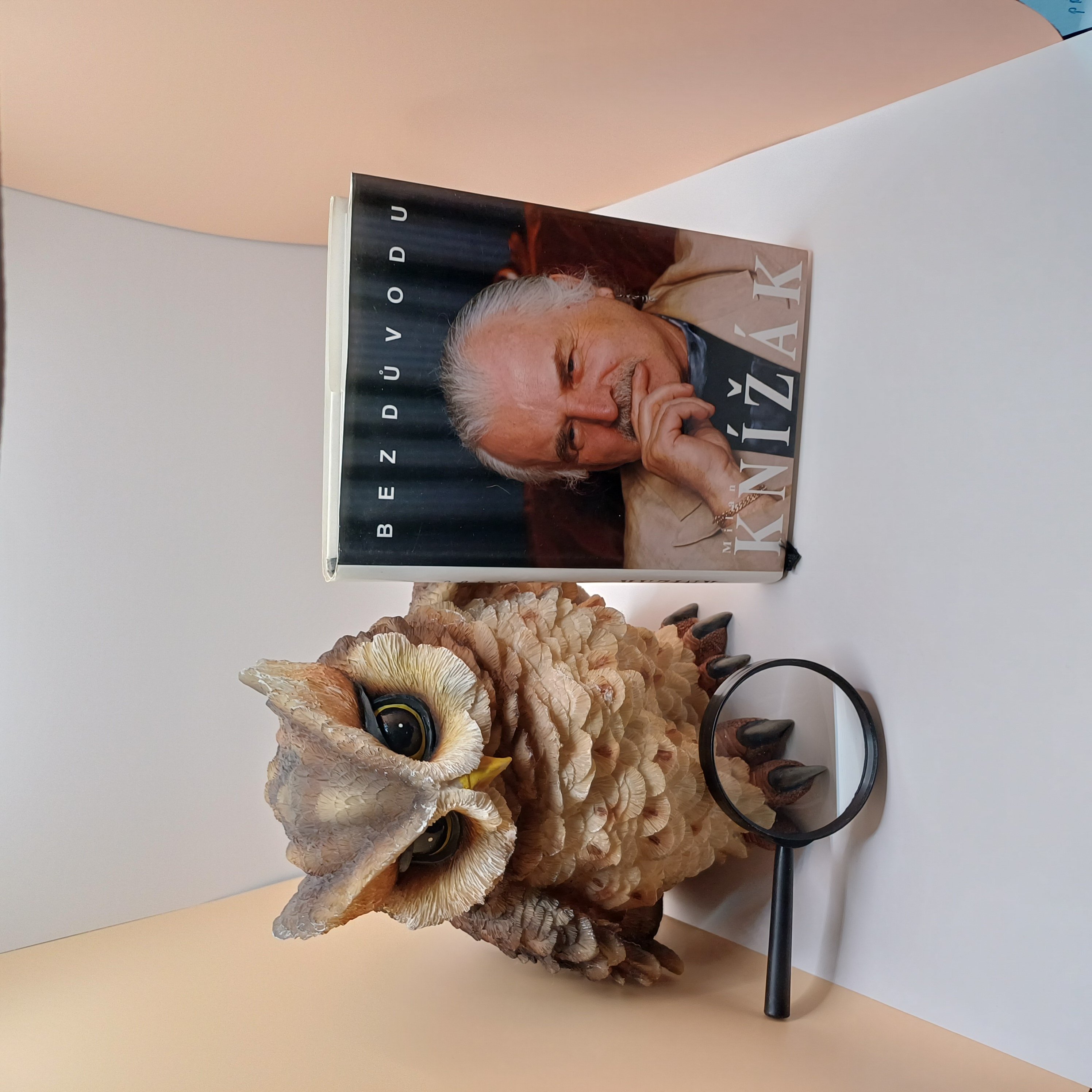 Bez důvodu, Milan Knížák 