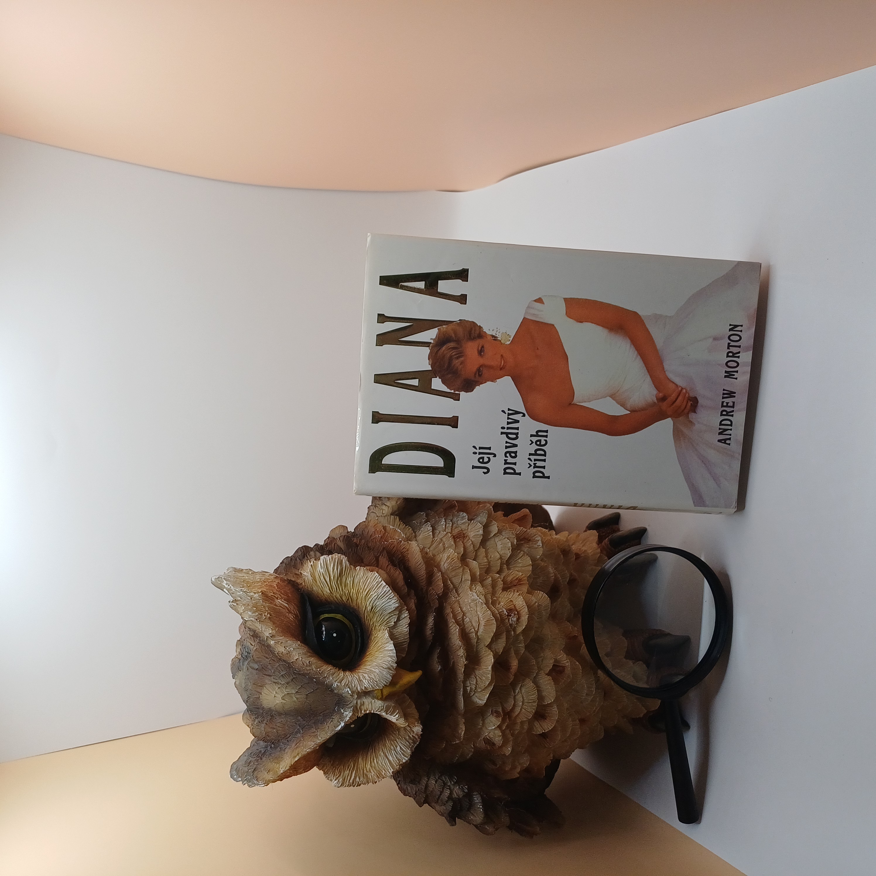 Diana - Její pravdivý příběh, Andrew Morton