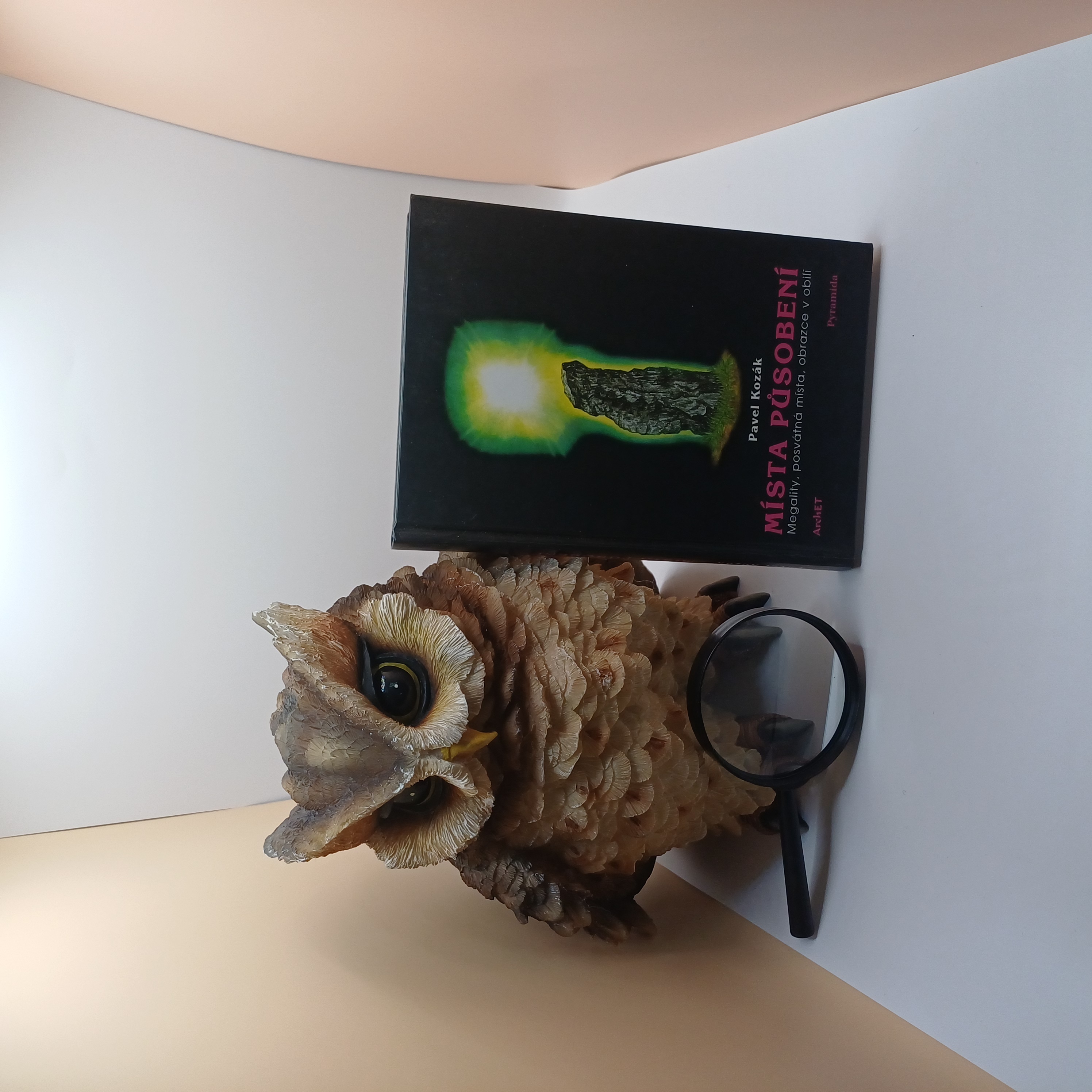 Místa působení, Pavel Kozák