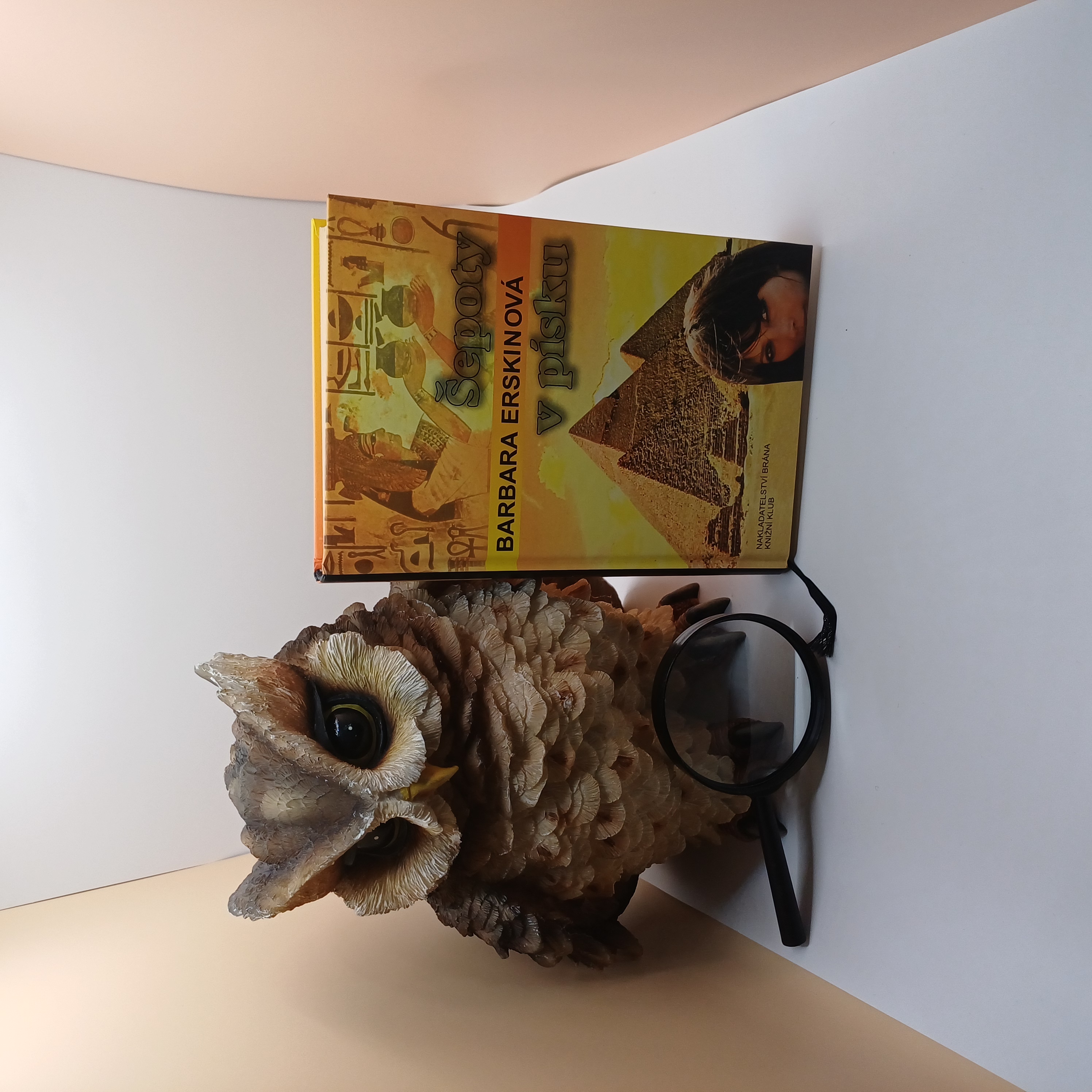 Šepoty v písku, Barbara Erskinová