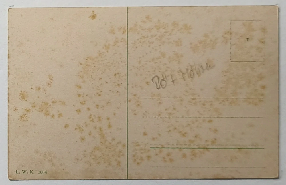 Mariánské Lázně pohlednice