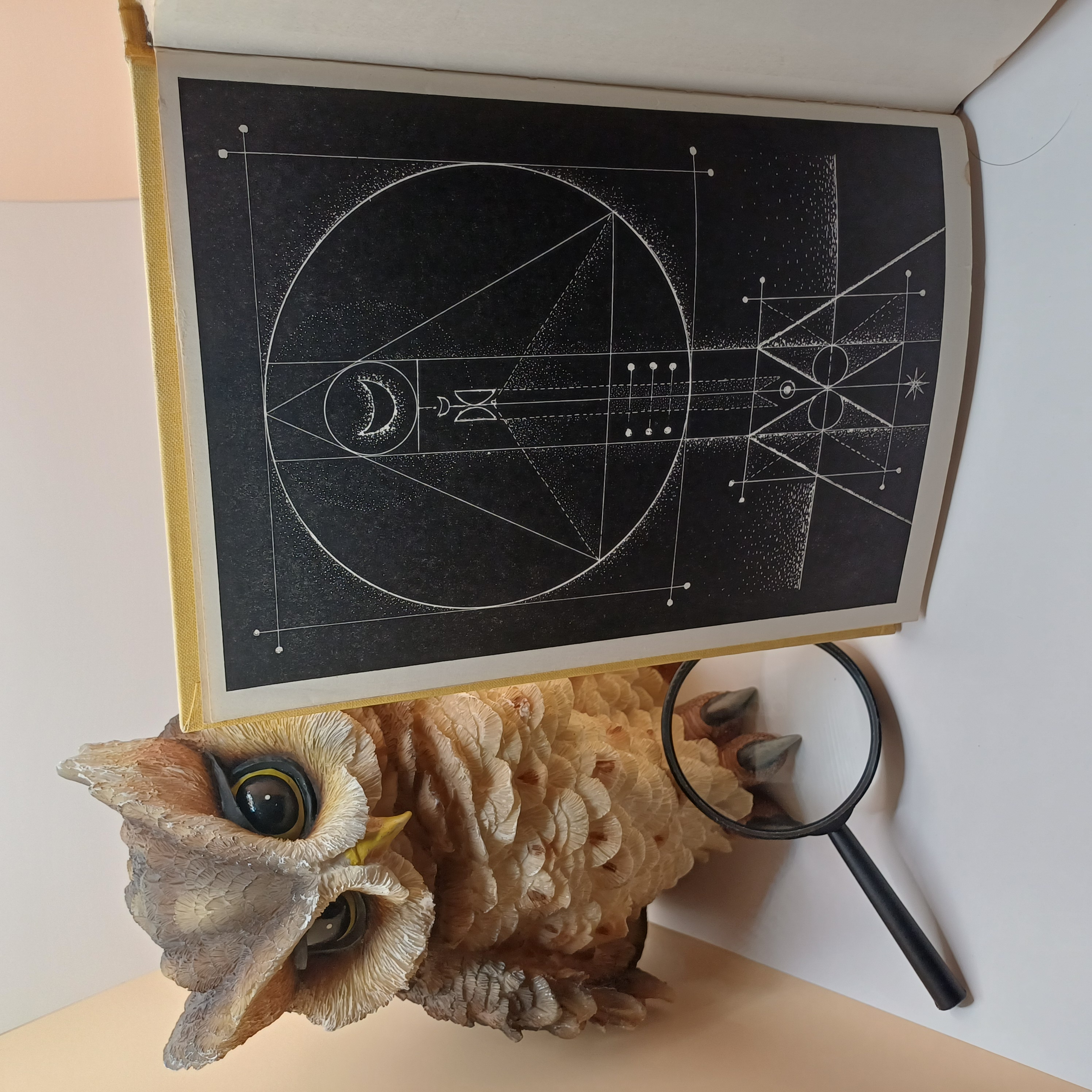 Jóga - od staré Indie k dnešku, PhDr. Milada Bartoňová, MUDr. Zdeněk Bašný, PhDr. Boris Merhaut, PhMr. Rudolf Skarnitzel, Milada Bartoňová, MUDr. Zdeněk Bašný, PhDr. Boris Merhaut