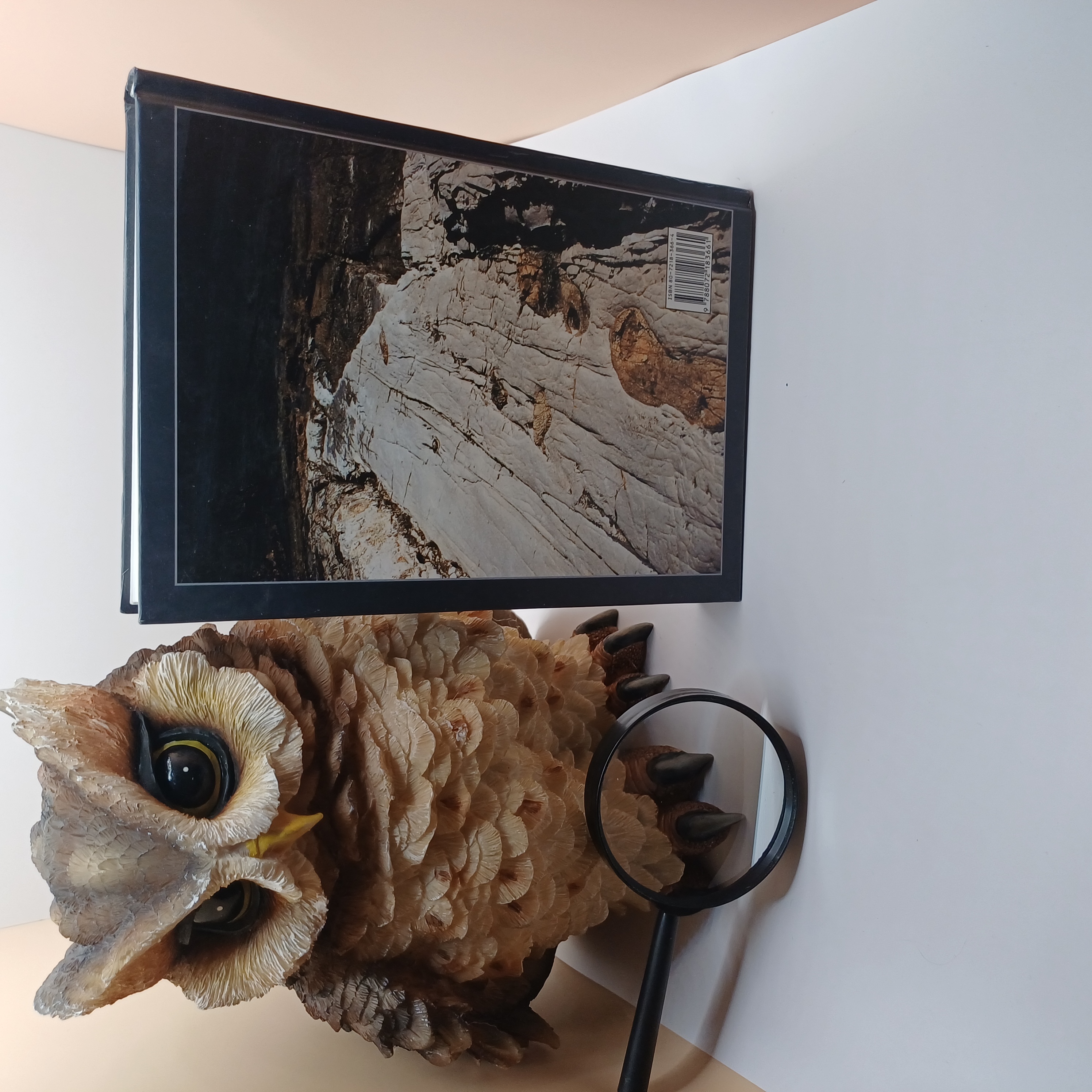 Hlubina návratu, Jiří Wojnar 