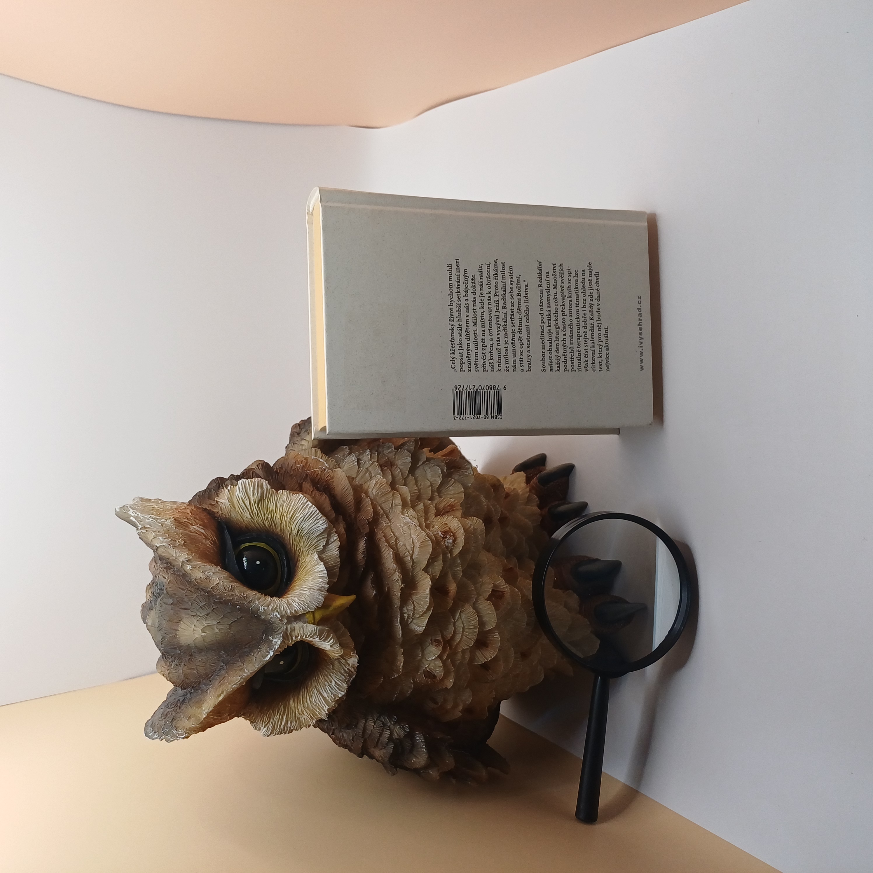 Radikální milost, Meditace na každý den, Richard Rohr