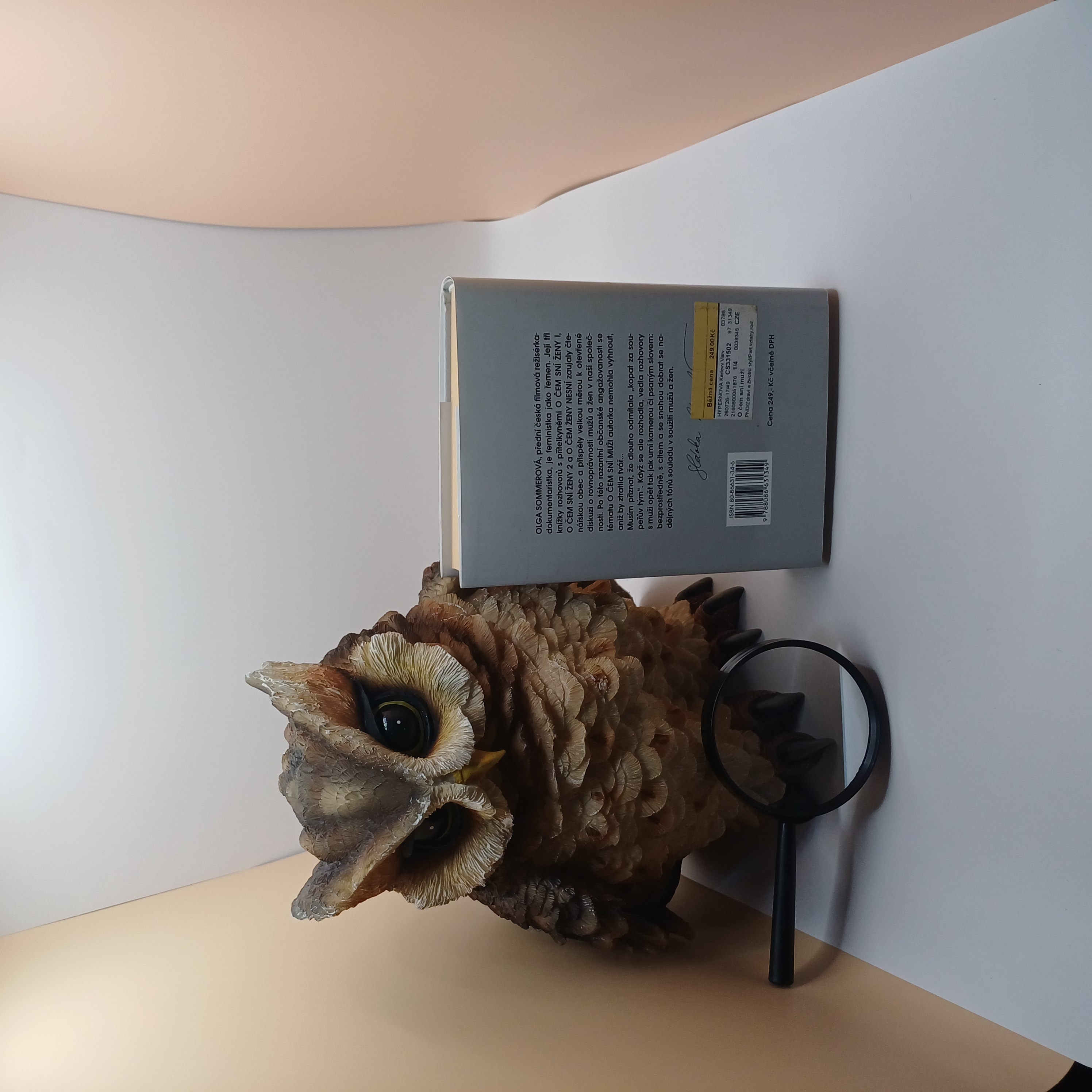 O čem sní muži, Olga Sommerová