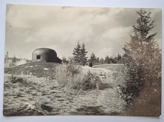 Rokytnice v Orlických horách