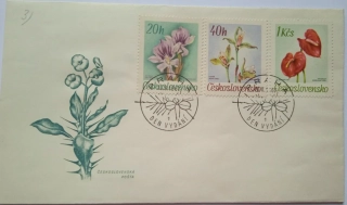 Obálka okrasné rostliny 1967